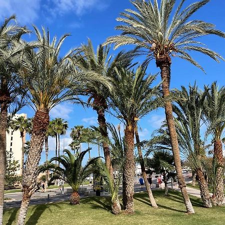 Las Piteras Apartments أرونا المظهر الخارجي الصورة