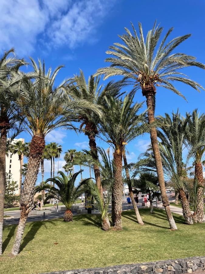 Las Piteras Apartments أرونا المظهر الخارجي الصورة